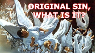 Sétimo Dia First sin, what is it?